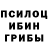 Галлюциногенные грибы Cubensis Aly _3