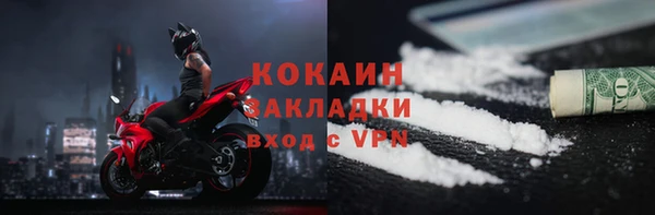 стафф Бородино