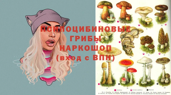 прущий лед Бронницы