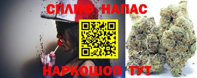 сатива Волгодонск