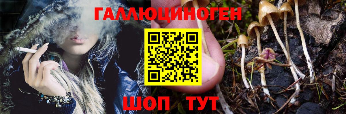 Галлюциногенные грибы мицелий  Вход с VPN  Пыть-Ях  Псилоцибиновые грибы Cubensis 