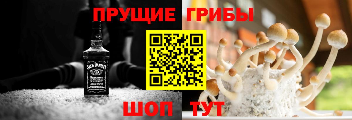 Псилоцибиновые грибы Psilocybe Пыть-Ях